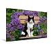 Produktbild Calvendo Premium Textil-Leinwand 120 cm x 80 cm quer, Katze sitzt auf einem Gartenstuhl vor blauen Blüten | Wandbild, Bild auf Keilrahmen, Fertigbild auf Storchschnabelblüten Tiere Tiere
