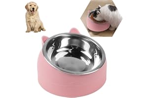O-KINEE Bol Incliné Pour Chat Et Petit Chien - Gamelle En Acier Inoxydable Amovible Pour Animaux De Compagnie