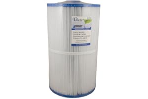 Darlly Filtre pour Spa Sundance 6540-501 (80801 / PSD85 / C-8380)