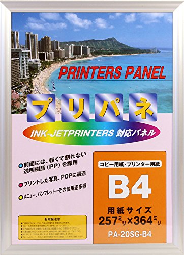 Preisvergleich Produktbild Iwatapuripane S Silver JIS B4 (japan import)