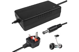 ZOYDP Battery Charger 58.8V 4A for Electric Bike, 52V 14S Lithium Battery Charger, 58.8V charger 4A Universal for Electric Scooter, Electric Bicycle, Motorbike, With DC 5.5mm*2.1mm Connector