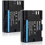 Blumax 2X Akku ersetzt Canon LP-E6N LPE6N (echte 2040mAh) mit Infochip - kompatibel mit XC10 XC15 EOS-R EOS 60D 70D 80D 5D Ma