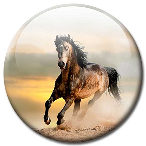 Magnettafel Pferd am Meer – Faszinierende Design Metall Magnettafel 60×40 cm – Pinnwand Memoboard mit Motiv: Pferd am Meer Ocean Horse – inkl. 6 Magnete Pferde am Meer Ocean Horses für Magnetwand – Original Magnetpinnwand GUMA Magneticum - 9