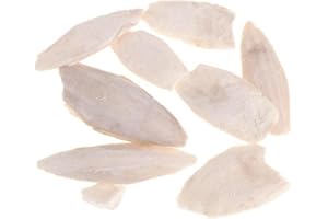 Ruluti 1 Borsa di Osso di Seppia Seppia Seppia Seppie Uccello Alimentari Calcio Pickstone Pet