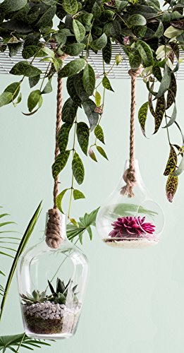 Mica decorations 1025165 Sil Hängevase, Glas, transparant, 19 x 19 x 32 cm - 2