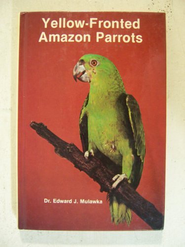 Yellow-fronted Amazon Parrots livre