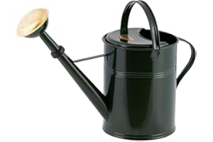 PLINT 9L Watering Can - Modern Style Watering Pot for Indoor and Outdoor House Plants - Coloured Galvanised Powder Coated Steel - Metal Design With Narrow Spout And High Handle - (Green)