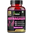 Humming Herbs Astragalus Root Extract Capsules - Supports Immune System, Cardiovascular & Liver Health - Natural Antioxidant & Anti-Aging Supplement