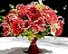 Produktbild HKERL Basteln & Malen DIY Malerei by Zahlen Blume Tier Landschaft Acryl Malerei Moderne Bild Wohnkultur Für Wohnzimmer Ölgemälde V103