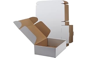 RLAVBL 20 Stück weiße Versandkartons mit den Maßen 30,5 x 22,9 x 10,2 cm für den Versand von Spielzeug und Geschenken