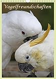 Vogelfreundschaften / Planer (Wandkalender 2017 DIN A4 hoch): Schmusende Piepmätze - Terminplaner (Planer, 14 Seiten ) (CALVENDO Tiere) by 