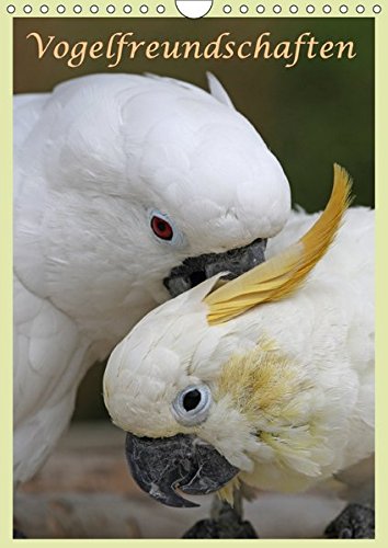 Vogelfreundschaften / Planer (Wandkalender 2017 DIN A4 hoch): Schmusende Piepmätze - Terminplaner (Planer, 14 Seiten ) (CALVENDO Tiere)