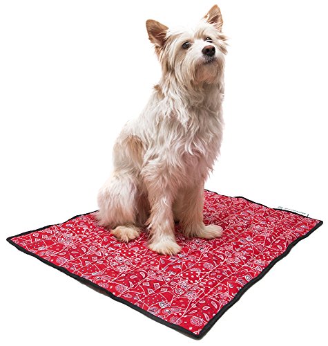 Aqua Coolkeeper Tappeto Refrigerante Per Cani Materassino Aquacoolkeeper Per Animali Mantiene La Temperatura Corporea Stabile Evita Colpi Di Calore