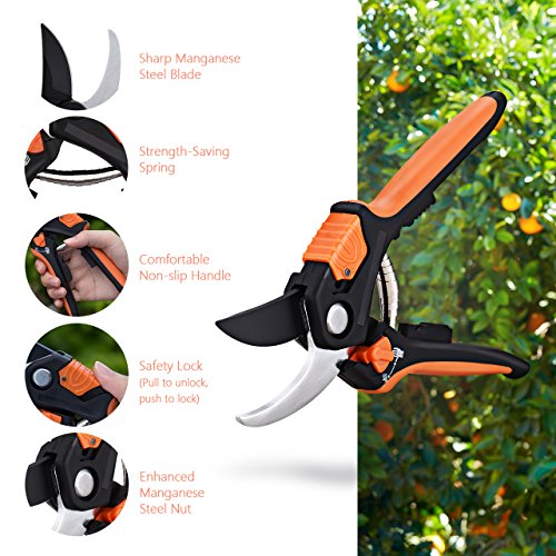 Gartenschere Kit, OMorc Rebschere Set Blumenschere Holzschere Astschere Baumschere mit 1 Paar Bypass Pruner und 1 Paar Slim Garden Schere ideal für Scheren Zweige, Stängel, kleine Pflanzen und Kommissionierung Früchte. - 2