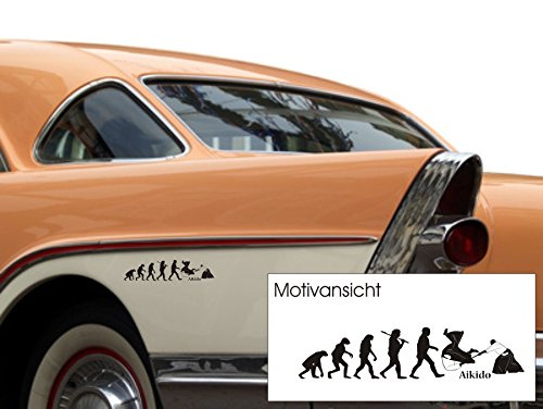 Evolution Aikido, Fahrzeugaufkleber, Kampfkunst, Kampfsport, Japan, Größe ca. 300 mm x 70 mm, verschiedene Farben (M071 Grau)