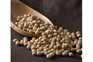 UN MUNDO A GRANEL Soja Amarilla (Blanca) a Granel - 1000g | Rica en Proteínas y Fibra, Ideal para Platos Vegetarianos y Veganos