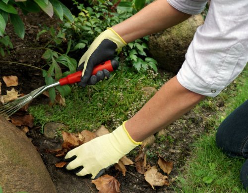 Connex Handschuhe Allround, Größe 8 - 2