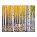 Produktbild DIY Kit Nach Zahlen Woods Landschaft Acryl Färbung Malerei Auf Leinwand Mode Cuadros Bild Für Wohnkultur Malerei 16X20 Zoll Rahmenlos