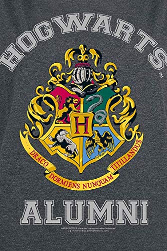 HARRY-POTTER-Alumni-T-Shirt-dunkelgrau-meliert-L