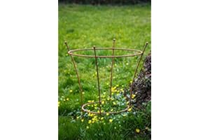 KUHEIGA Stabiler Staudenhalter Rost H: 60cm, Volleisen Strauchhalter, Rankgerüst,