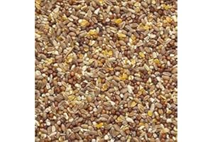 Il Contadino - Antichi Becchimi | Misto per TORTORE e FAGIANI | Formula Ricca di Semi Selezionati Adatta per Tutto L'Anno, No OGM, 100% Vegetale, Assenza di scarti. qualità Superiore (10 kg)