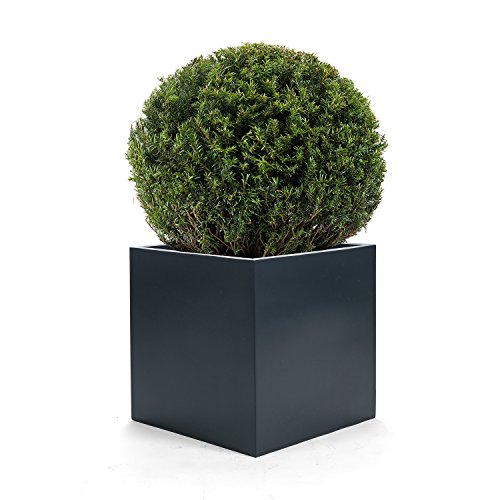 Pflanzkübel „FiberPlus Cube“ Anthrazit Quadratisch Fiberglas *2 Jahre Garantie* – 30x30x30cm – F014 - 2