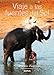Viaje a las fuentes del sol : levantando levemente la piel de Asia (Travesías, Band 11) - Antonio Picazo Díaz