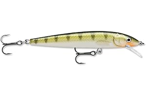 Rapala Husky Jerk 10 Fishing Lure