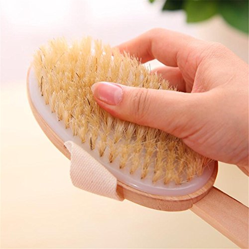 Badebürsten / Rückenbürste,Abnehmbar Holz Stiel Bad / Dusche Naturborste Kardätsche CIDBEST® Körper-Peeling Pinsel Perfekt für trockene Haut Bürsten, verbessert die Durchblutung , reduziert Cellulite ,Verbessert die Haut Gesundheit und Schönheit für Damen & Herren - 4