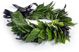 CORONEDILAUREA.COM Corona di laurea Royal con foglie di alloro fresco, Qualità premium, Made in Italy