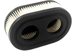 AISEN Filtre à air pour Briggs & Stratton 798452-798339 - 593260-5432 - Série 550 575