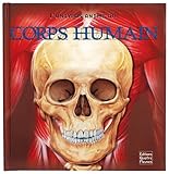 L'univers animé du corps humain