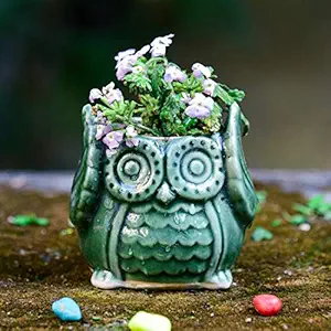 Lyallpur Stores Ceramic Planter Pot Owl Shape - Small (Green Color, 9 cm) Plant Not Included