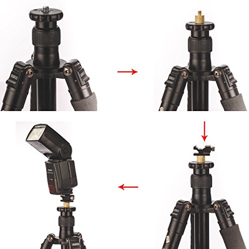 TARION 3 Adaptateur de griffe r  glable   3 Adaptateur de vis 3 8    femelle    1 4    m  le pour flash TARION  Canon  Nikon  Godox  Yongnuo  etc 