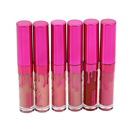 VWH 6 Farben Wasserdichte langlebige Matte Flüssigkeit Lipgloss Lippenstift Kosmetik