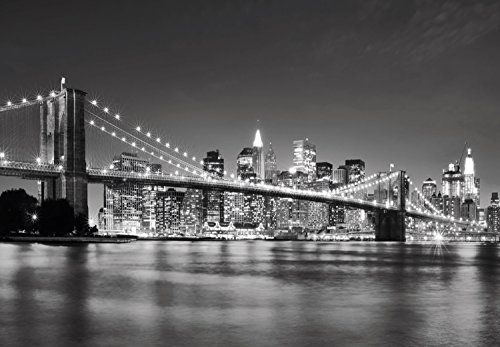 FOTOTAPETE ‚I Love New York 105‘ 366cm x 254cm Manhattan USA Amerika Skyline Nighttime schwarz weiß XXL NEU - 2
