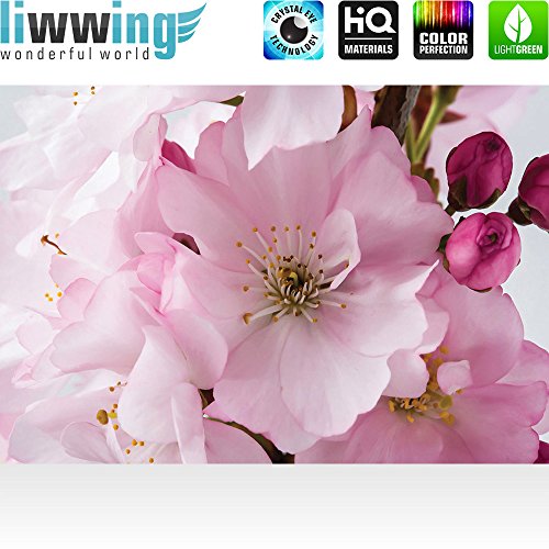 Vlies Fototapete 350×245 cm PREMIUM PLUS Wand Foto Tapete Wand Bild Vliestapete – Blumen Tapete Blumen Blüte Kirschblüte Natur rosa – no. 1112 - 2