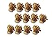Homgaty 12Pcs Ladies Baby Plastic Mini Hair Pin 6 Claws Hair Clip Clamp Brown