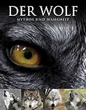 Cover zum Buch Abenteuer Wildnis: Der Wolf: Mythos u...