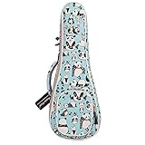 Musik ersten Original Design, neue Ankunft. Ukulele Schutzhülle 