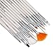 TRIXES Nail Art Brushes 20pcs Nail Art Design Painting Detailing Brush & Dotting Bundle Kit with Black Case
