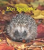 Ein Igeljahr bei Amazon kaufen