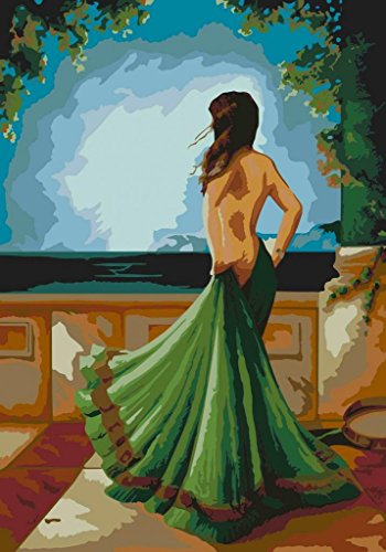 DIY Anstrich-Malen nach Zahlen Kit Sexy Mädchen zurück 16x20 Zoll Frameless schöne Frau Malerei auf Leinwand