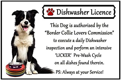 Border Collie Lover Gift - Fun Dishwasher Licence Flexible 6" x 4" Magnet