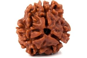 Naisha 3 Mukhi Himalayan Rudraksha | Three Faced Rudraksha | Rudraksha Beads | 100% Original & Certified (Spiritual and Healing Product)..