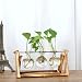 Produktbild Xueliee Desktop Glas Übertopf Leuchtmittel Vase mit Retro Ständer und Metall Drehgelenk Halterung aus Massivem Holz für Hydrokultur Pflanzen Home Garten Hochzeit Decor, Retro Wood+3 Bulbs, 14X28cm
