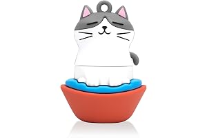 Gatto