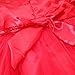 iEFiEL Newborn Baby Girl Red Christmas Party Flower Petals Tutu Dress Flower Headband Outfits 18-24 Months