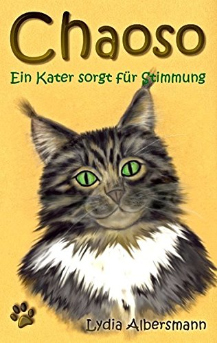 Chaoso: Ein Kater sorgt für Stimmung