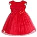 iiniim Baby Girl's Rose Flower Wedding Princess Dress Red 3-6 Months